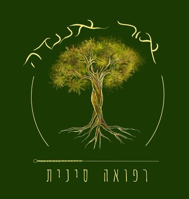 שירלי ברקוביץ