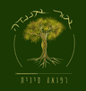 שירלי ברקוביץ